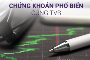 PHONG CÁCH ĐẦU TƯ: YẾU TỐ ĐỂ LỰA CHỌN LOẠI CỔ PHIẾU PHÙ HỢP 